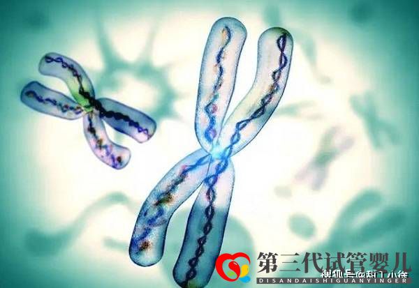 遺傳病能做試管嬰兒?jiǎn)?圖1)
