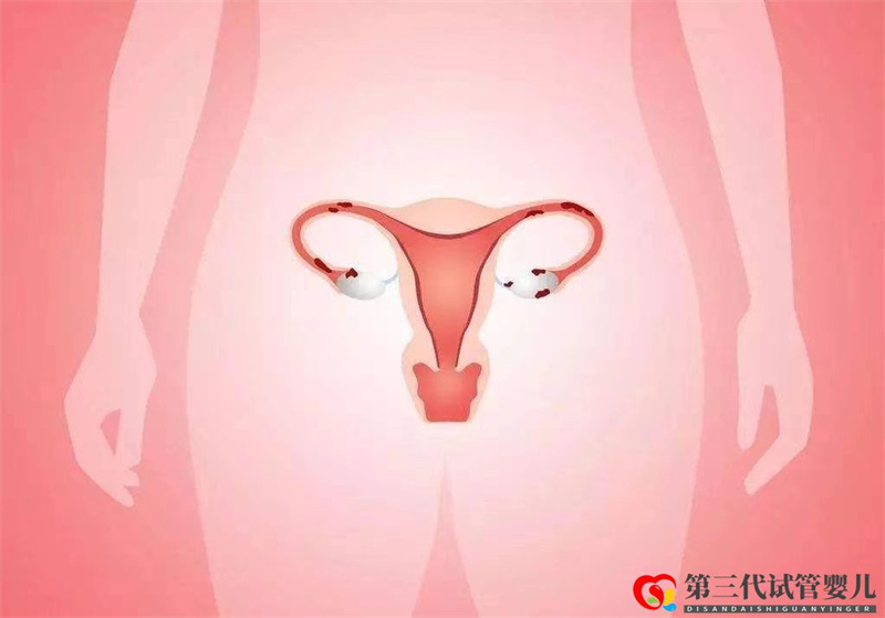 試管嬰兒取卵后子宮內膜達到多少才可以移植？(圖3)