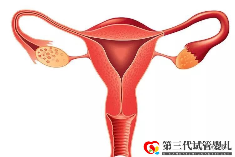 習(xí)慣性流產(chǎn)可以做供卵試管避免嗎？流產(chǎn)后多久可以做試管嬰兒？(圖1)