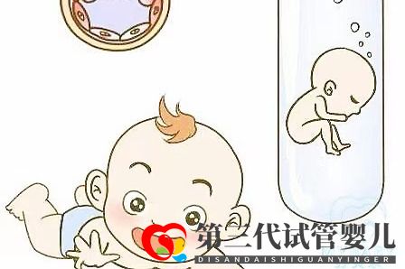 取卵多為什么可移植胚胎數不多?卵泡和試管成功率的關系(圖1) 取卵多為什么可移植胚胎數不多?卵泡和試管成功率的關系(圖1)
