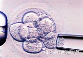 三代試管知男女的必經(jīng)之路—胚胎活檢術(shù)(圖3)