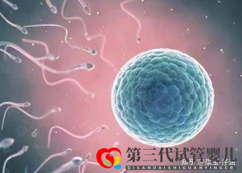 通俗易懂的一、二、三代試管嬰兒解說(圖1)