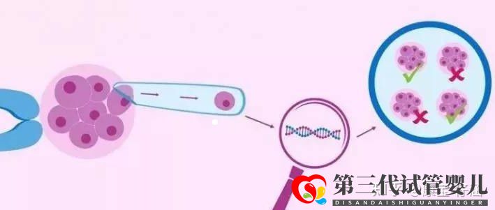 通俗易懂的一、二、三代試管嬰兒解說(圖3)