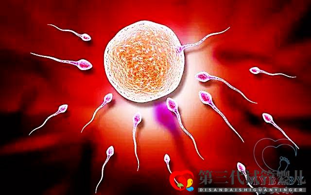 精子不動(dòng)可以做試管嗎？(圖1)