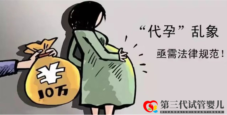 暗訪國內私立供卵試管助孕機構，揭開咨詢代孕地下產業的不法內幕(圖4)