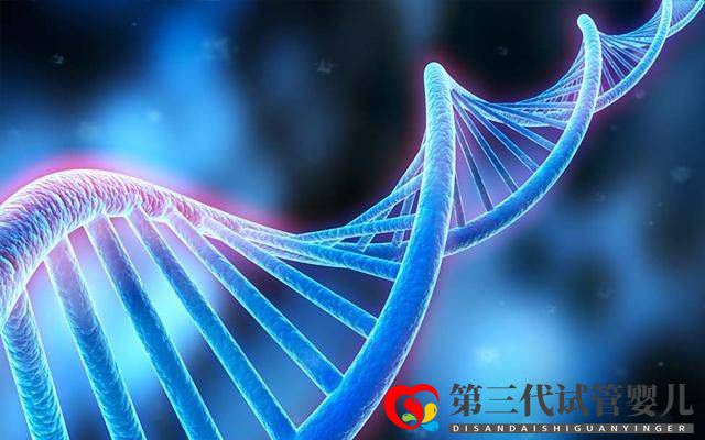 為什么父母染色體正常，胚胎染色體卻有問(wèn)題？(圖2)