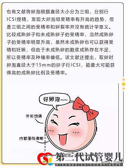 卵泡大小和試管成功率有關系嗎？大卵泡是不是越多越好？(圖3)