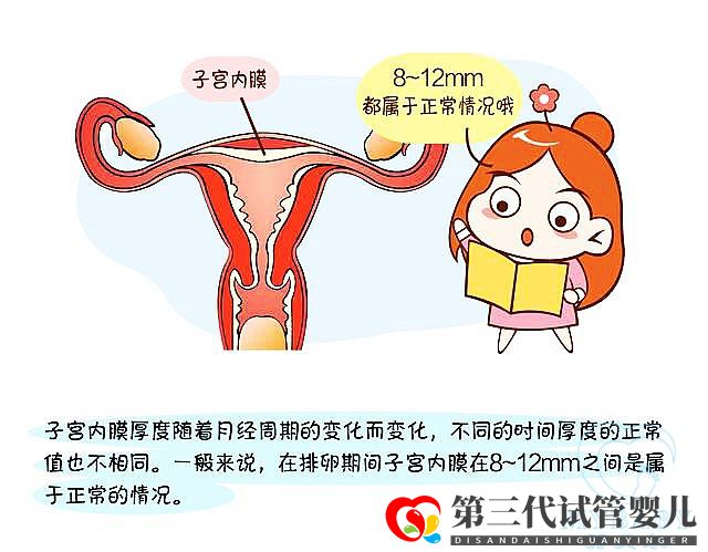 子宮內膜薄做試管嬰兒成功率大嗎?看專家怎么說(圖1) 子宮內膜薄做試管嬰兒成功率大嗎?看專家怎么說(圖1)