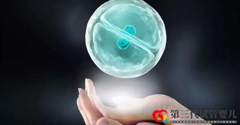 試管嬰兒凍胚移植和鮮胚移植的區別三代試管為什么要凍胚(圖1) 試管嬰兒凍胚移植和鮮胚移植的區別三代試管為什么要凍胚(圖1)