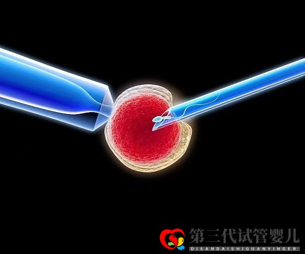 高齡女性在做三代試管時,取多少個卵子合適?(圖1) 高齡女性在做三代試管時,取多少個卵子合適?(圖1)