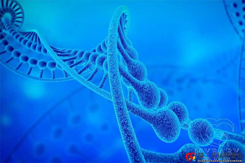 染色體異常能做試管嬰兒嗎？試管嬰兒要查染色體嗎？(圖1)
