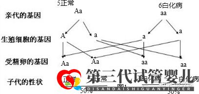 泰國三代試管PGD技術能解決白化病的遺傳問題嗎(圖1) 泰國三代試管PGD技術能解決白化病的遺傳問題嗎(圖1)