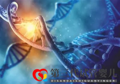 用生物學思維，可以解決金融市場的損失問題嗎？(圖1)