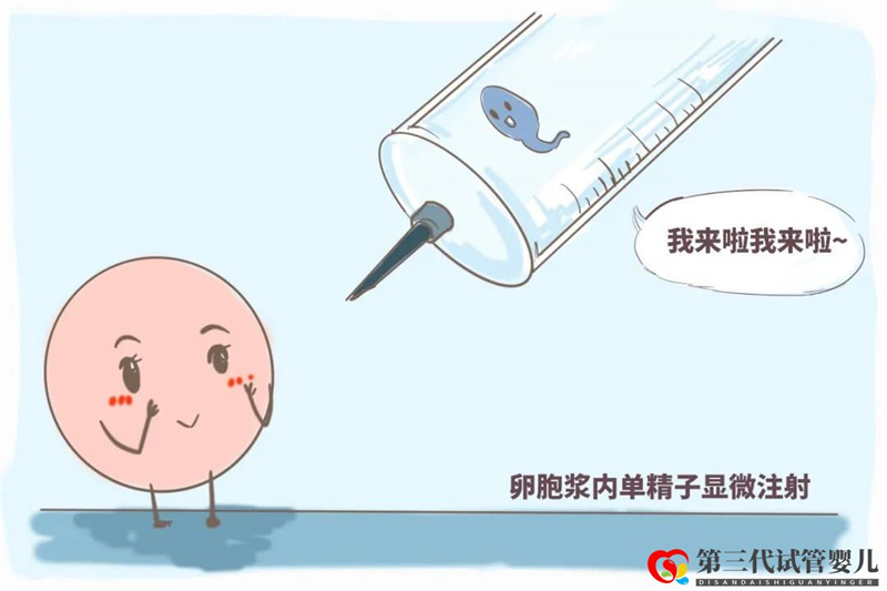 單次做三代試管嬰兒的費(fèi)用詳解，其流程步驟可分這六步