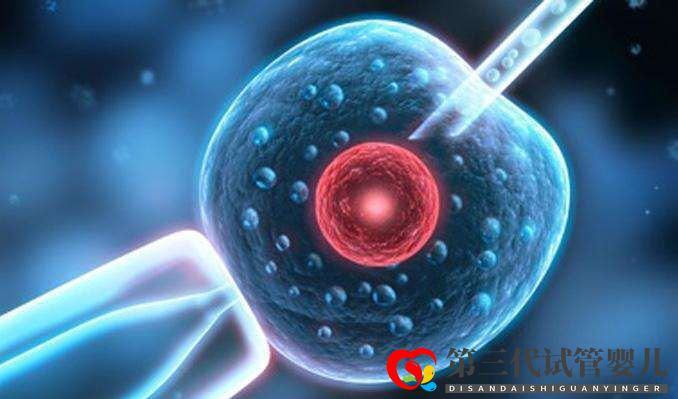試管嬰兒取卵前后6大注意事項你知道多少？(圖1)