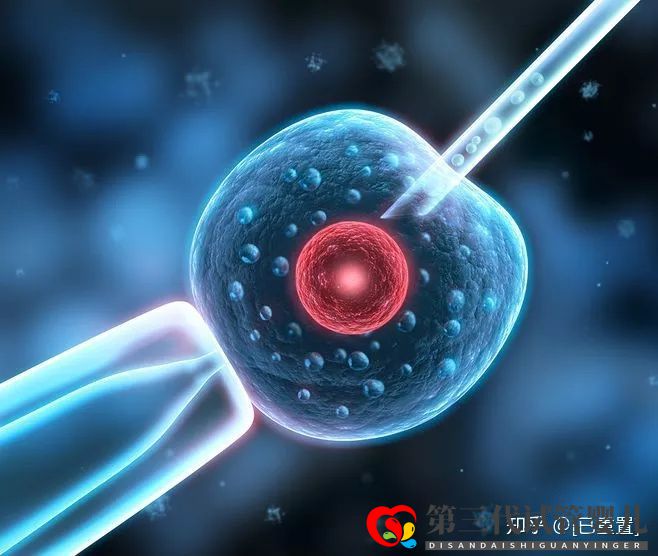 試管三代和四代的區(qū)別是什么？哪個(gè)好？