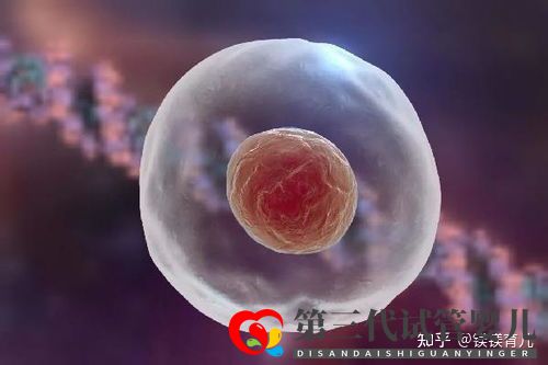 高齡女性試管多次失敗,應該何去何從(圖2)
