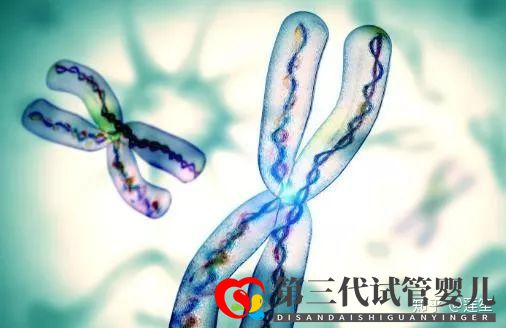 35歲以后懷孕的幾率有多大怎樣提高懷孕幾率(圖5) 35歲以后懷孕的幾率有多大怎樣提高懷孕幾率(圖5)