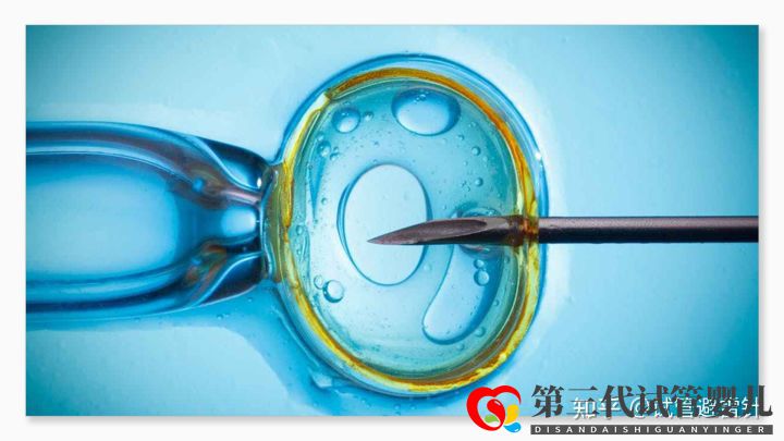 試管嬰兒費用大約多少 ——最全面的費用詳解(...(圖2) 試管嬰兒費用大約多少 ——最全面的費用詳解(...(圖2)
