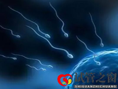 關(guān)于試管嬰兒成功率你們所不知道的(圖2)
