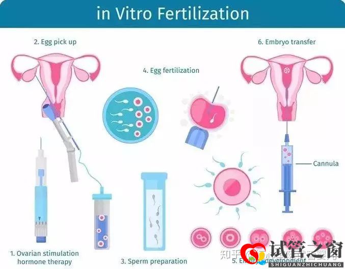 做一個試管嬰兒要花多少錢醫保能報銷嗎(圖3) 做一個試管嬰兒要花多少錢醫保能報銷嗎(圖3)