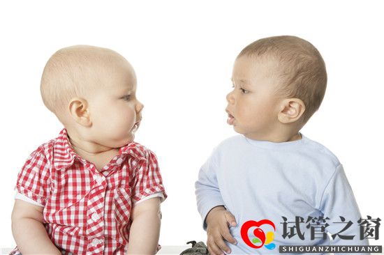 做美國試管嬰兒采取什么方案促排(圖1) 做美國試管嬰兒采取什么方案促排(圖1)