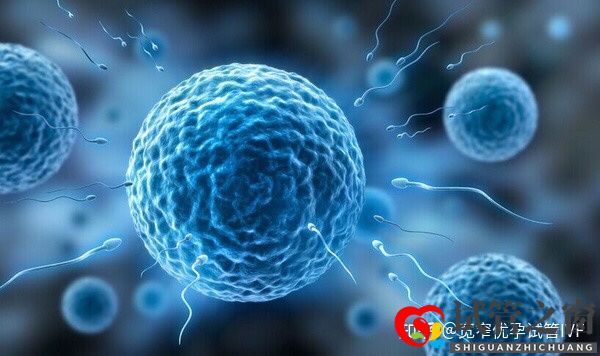 重慶哪里可以做試管嬰兒供卵供卵需要多少錢(圖6) 重慶哪里可以做試管嬰兒供卵供卵需要多少錢(圖6)