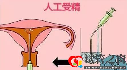試管之窗:試管嬰兒與人工授精的區(qū)別是什么，成功率分別是多少？(圖1)
