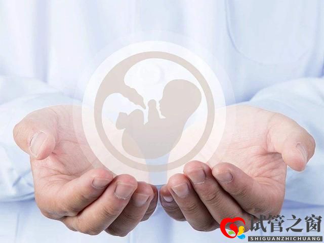 試管嬰兒容易做嗎？成功的概率高嗎？？有此打算的美女看過來(圖1)