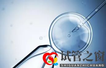 試管嬰兒的成功率是多少？怎么樣做可以提高成功率？(圖1)