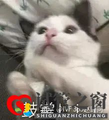 1代、2代、3代試管,有什么區別(圖9)