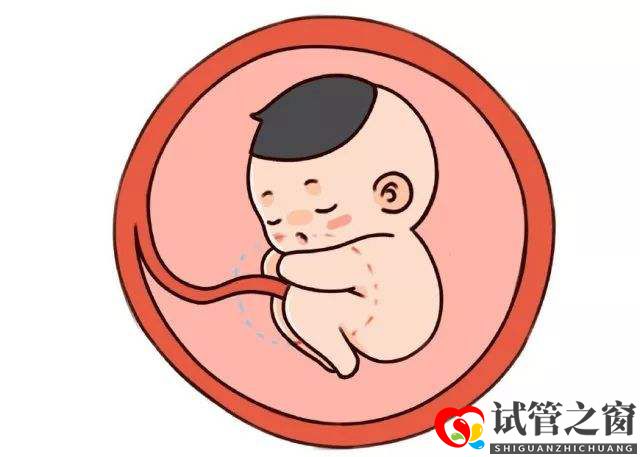 37歲還能做試管嬰兒,能成功懷上寶寶嗎?(圖1) 37歲還能做試管嬰兒,能成功懷上寶寶嗎?(圖1)