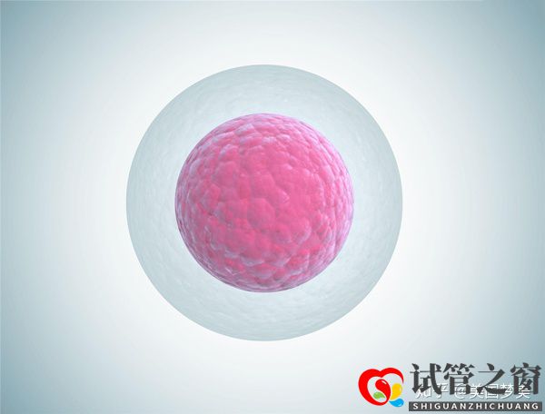 35歲女性做美國試管嬰兒成功率評(píng)估的三個(gè)關(guān)鍵點(diǎn)(圖4) 35歲女性做美國試管嬰兒成功率評(píng)估的三個(gè)關(guān)鍵點(diǎn)(圖4)