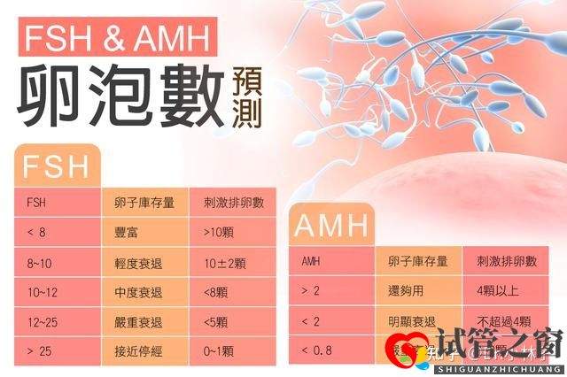 兩分鐘教你學(xué)會(huì)計(jì)算試管嬰兒成功率,再也不用被人忽(圖1)