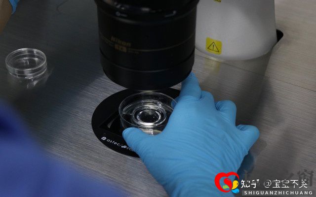 柳州三代試管嬰兒醫(yī)院費(fèi)用貴嗎(圖2) 柳州三代試管嬰兒醫(yī)院費(fèi)用貴嗎(圖2)
