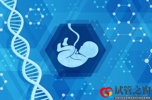 太診國(guó)際醫(yī)院馬庫(kù)斯醫(yī)生：能夠決定試管嬰兒成敗與否的細(xì)節(jié)(圖1)