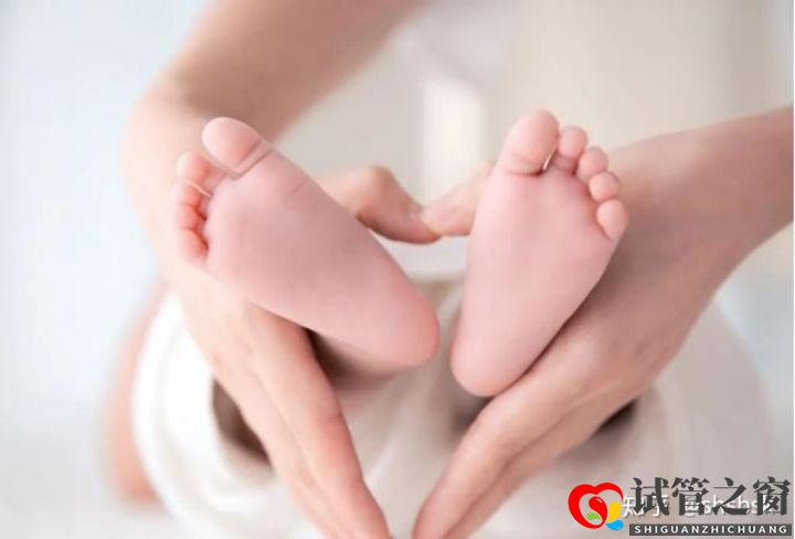 試管嬰兒可以選擇性別嗎(圖2) 試管嬰兒可以選擇性別嗎(圖2)