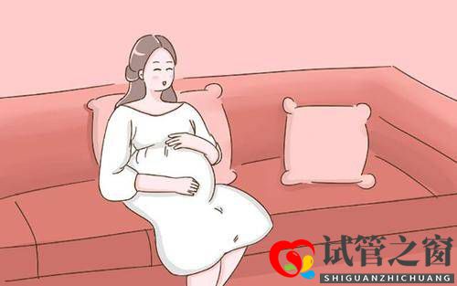 進行試管嬰兒助孕可不可以選擇移植兩個胚胎？(圖1)