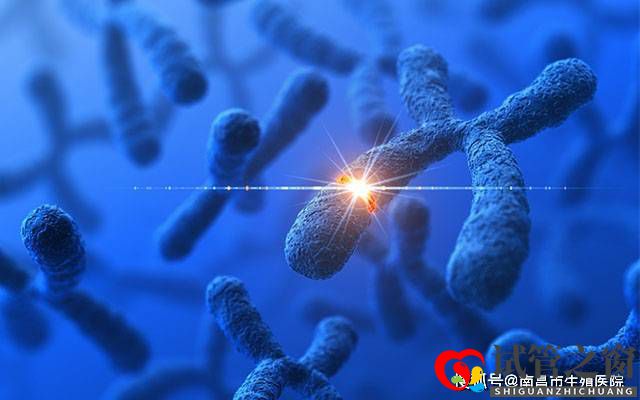 檢查出染色體異常還能要孩子嗎？染色體異常能做試管嬰兒嗎？(圖1)