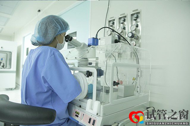 做試管的過程以及經過時間注意(圖1)