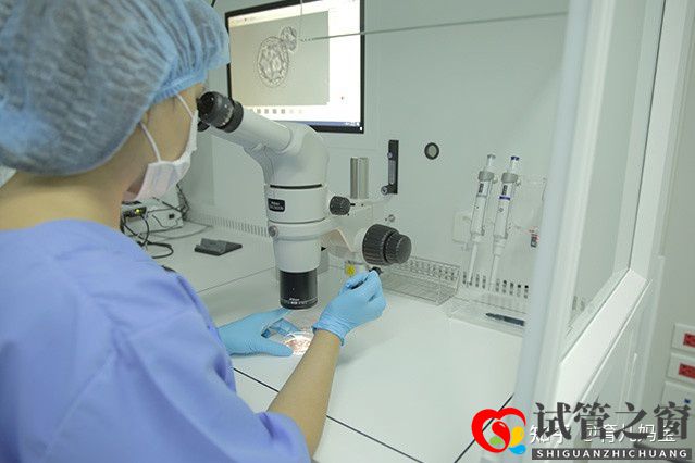 做試管的過程以及經過時間注意(圖2)