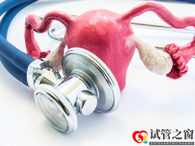 始基子宮可以進(jìn)行手術(shù)治療