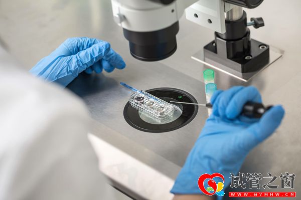 成都人工授精醫(yī)院