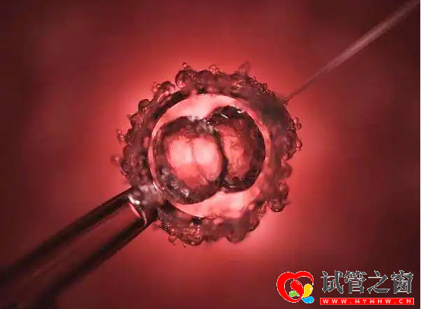 卵泡發育至成熟就會排出