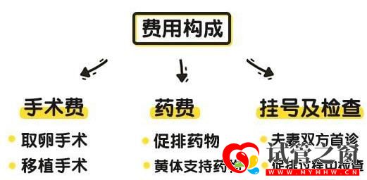 全國首次!試管嬰兒費用納入醫保報銷(圖4)