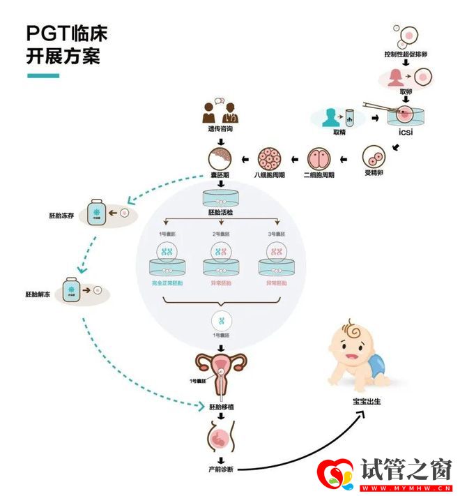 國內首個三代試管創新產品獲批上市,胚胎領域黑科技到底牛在哪(圖3)