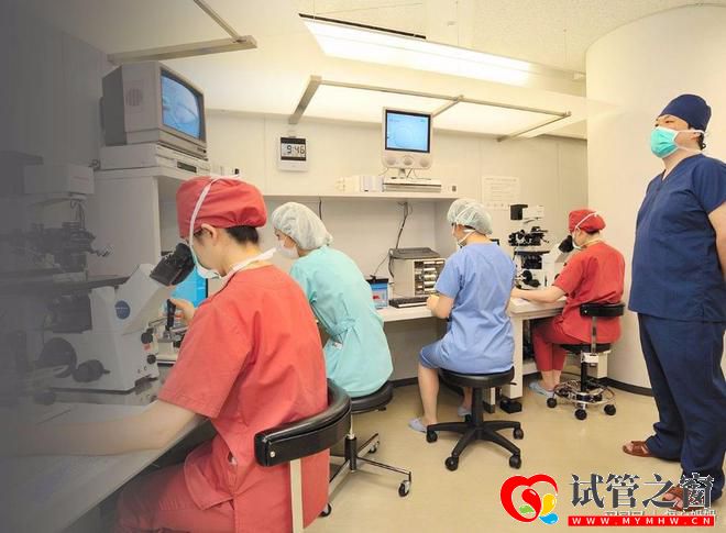干貨!實用性攻略去香港做第三代試管最省錢的方案(圖2)