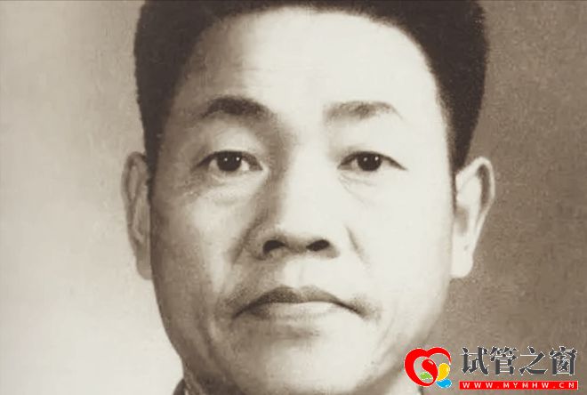 1979年大戰在即,老將軍三個孩子去參戰,我打算只回來一個(圖5)