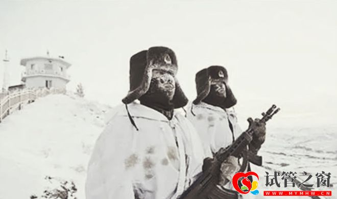 1979年大戰在即,老將軍三個孩子去參戰,我打算只回來一個(圖11)