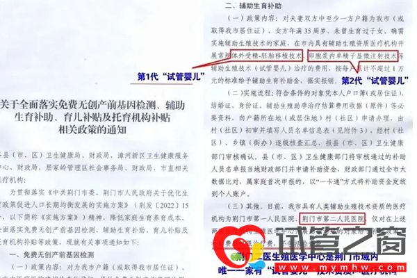 荊門有關試管嬰兒補貼政策的通知